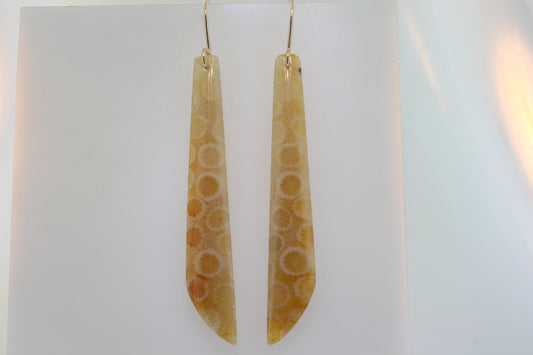 Fossilized Coral Earrings